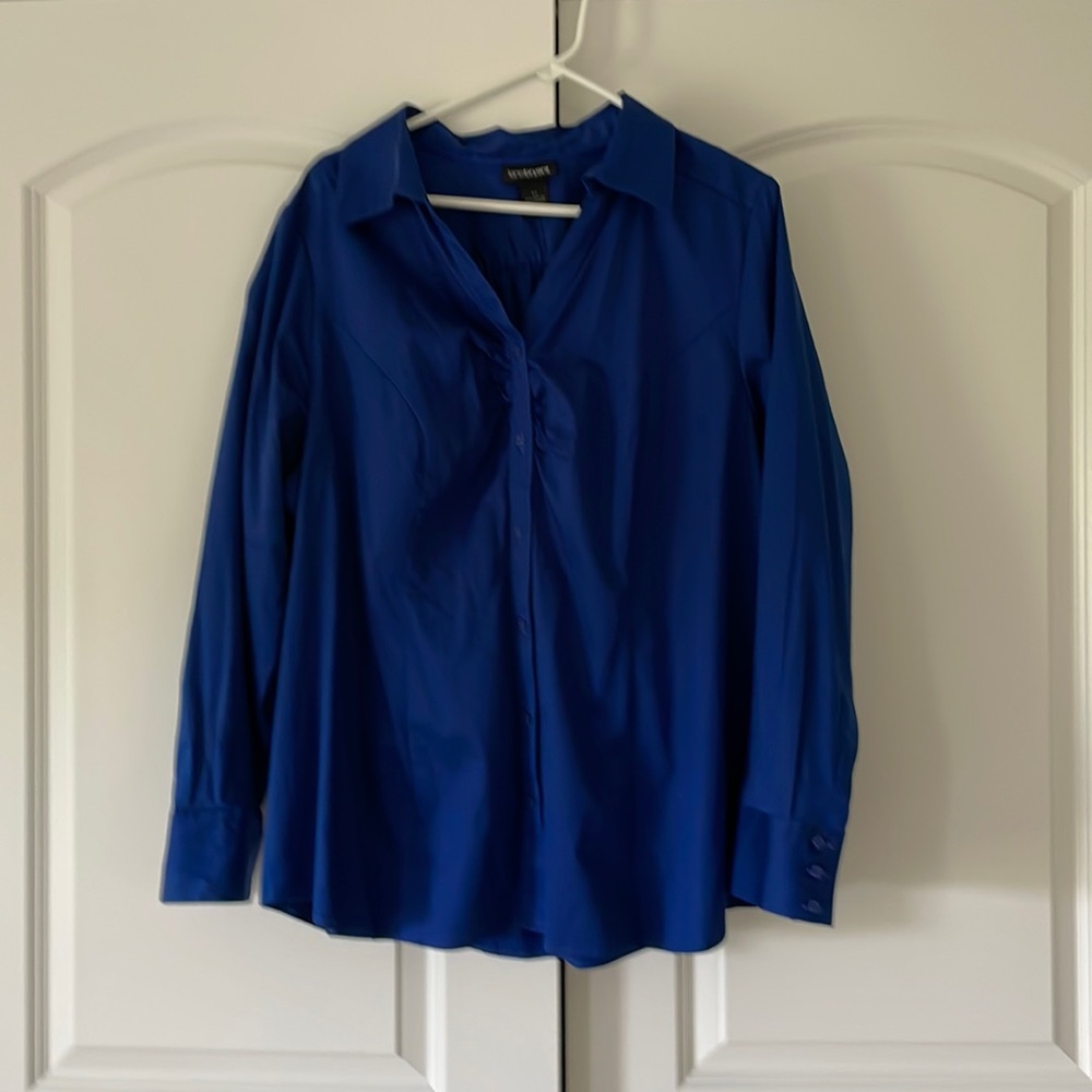 Blue shirt/blouse